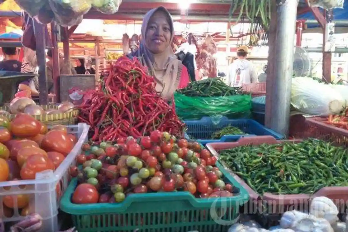 Harga Cabai Merah Naik di Lampung Selatan, Sekarang Rp 60 Ribu per Kilogram
