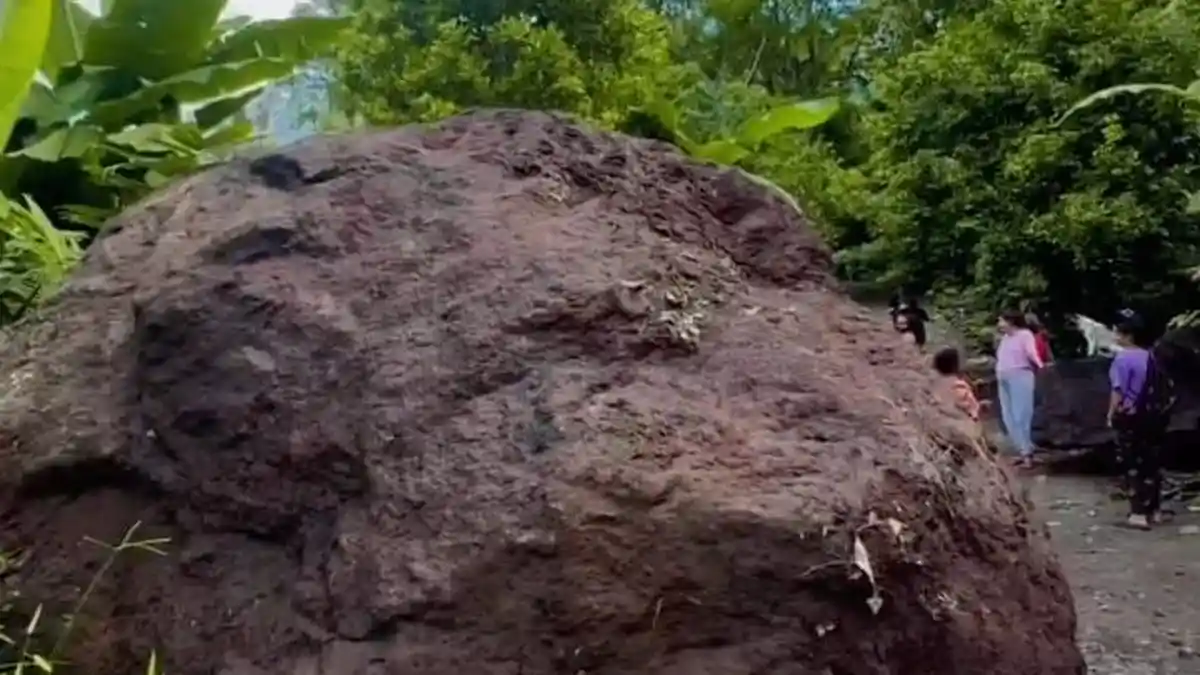 Longsor Terjang Desa Ua Mauponggo, Warga Diminta Waspada Longsor Susulan
