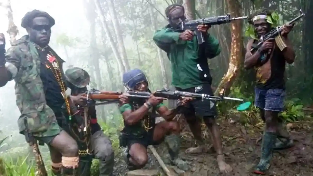 Teroris KKB Papua Semakin Terjepit, Hanya Bisa Lolos Jika Punya Nyawa Dobel
