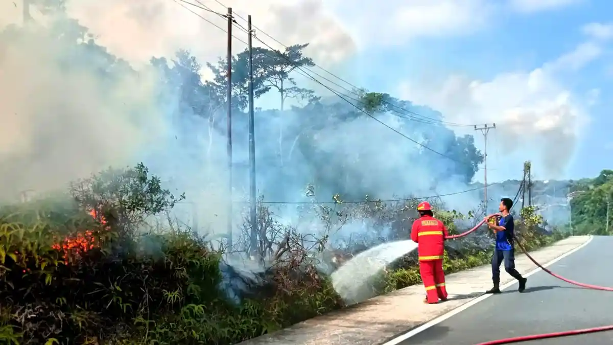 Lahan 500 M Persegi di Air Mulung Natuna Terbakar, Petugas Damkar Berjibaku Padamkan Api Saat Puasa