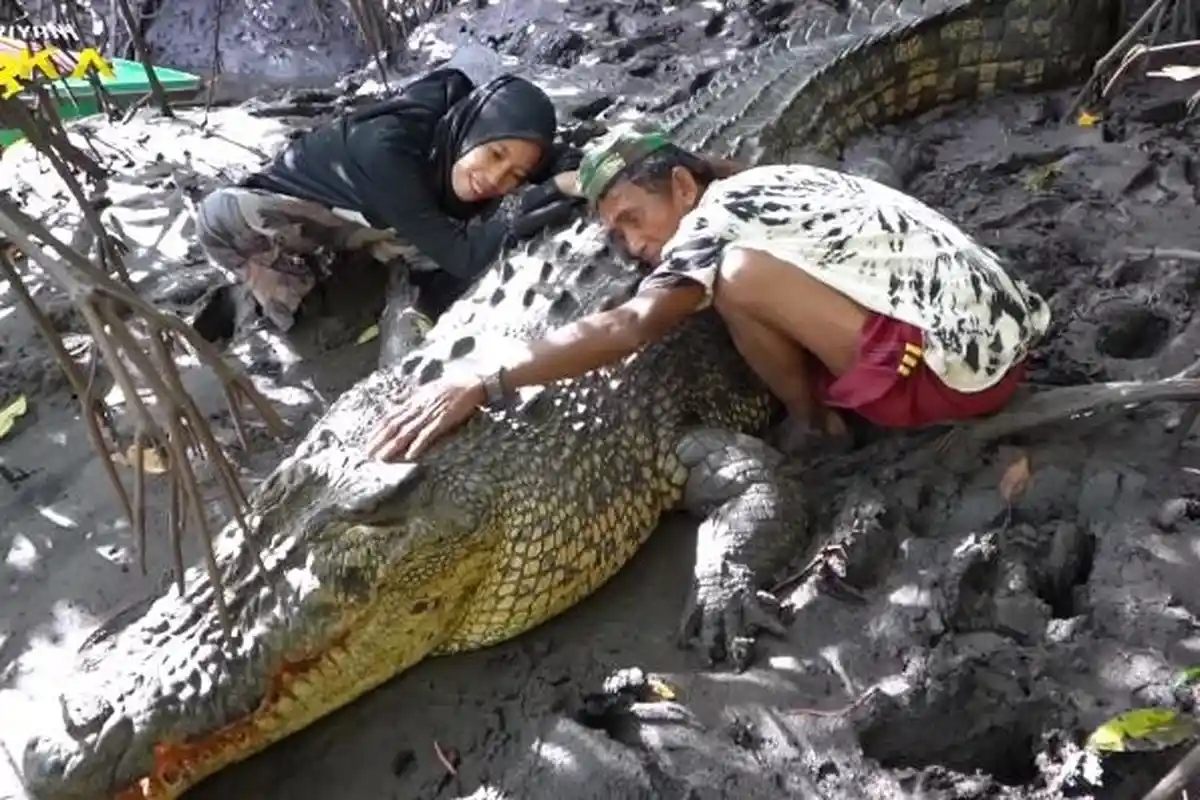 Viral Hubungan Bak Ayah dan Anak Seorang Pria di Bontang dengan Buaya Raksasa, Santai Peluk dan Cium