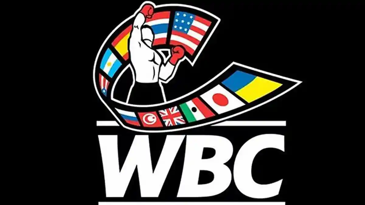 Jadwal Tinju Dunia Pekan Depan Lengkap Link Hasil World Boxing 2025
