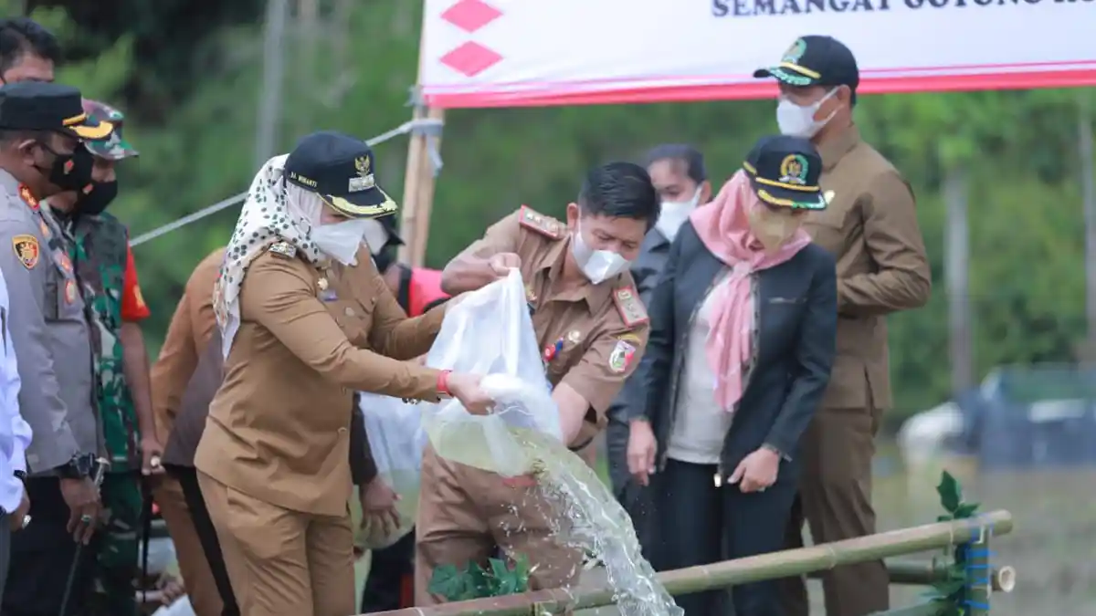 Bupati Winarti Tebar 50 Ribu Ikan Nila Nirwana ke Sungai Tulangbawang