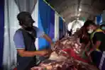 Pemotongan Hewan Kurban di RPH PD Dharma Jaya Cakung
