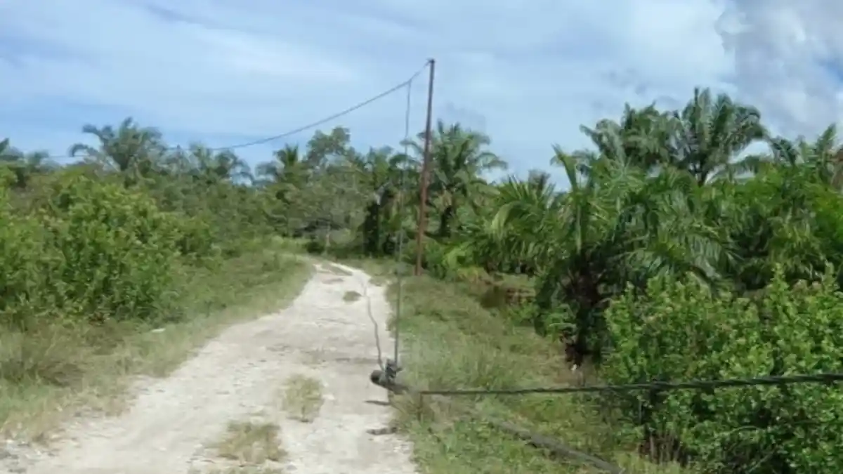 Tiang Listrik di Singkil Utara Tumbang, Diduga Akibat Terendam Luapan Air Parit