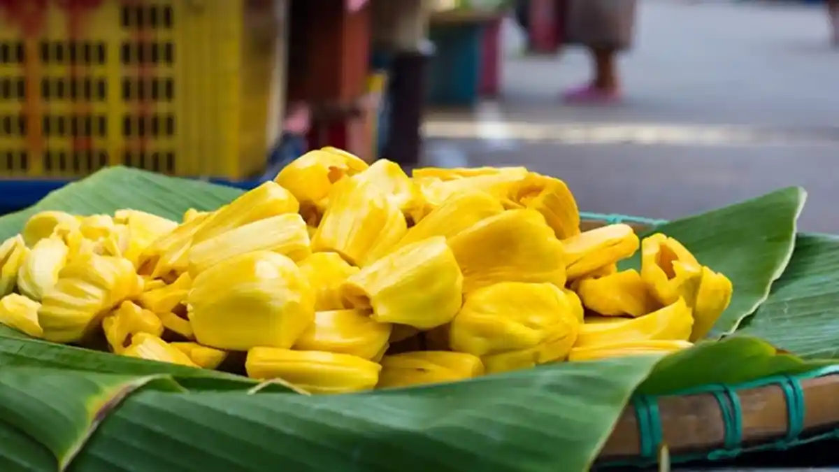 Segudang Manfaat Kala Konsumsi Nangka, dari Sembuhkan Luka Sampai Obat Kanker