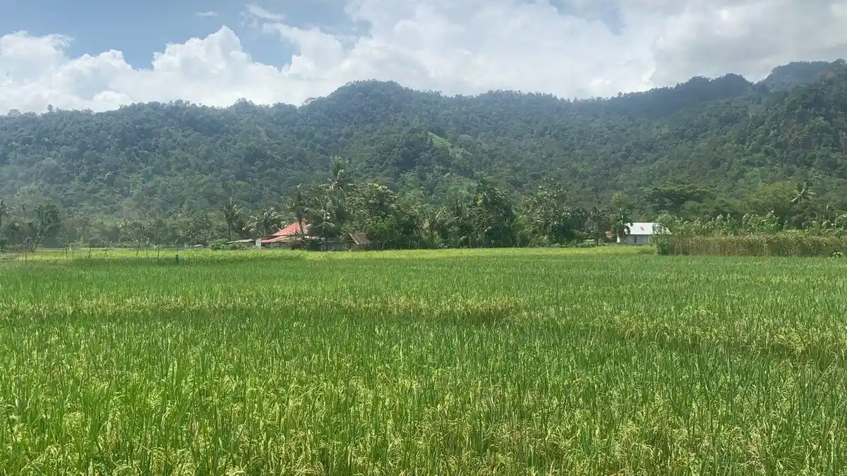Cuaca Sumbar Senin 4 Mei 2026: Pagi Berawan, Siang hingga Malam Berpotensi Hujan