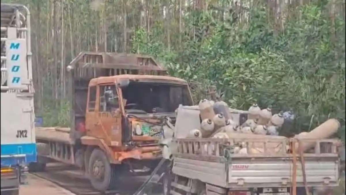 Kecelakaan Maut Truk Logging vs Pikap Pengangkut Oksigen di Musi Rawas, 1 Orang Tewas di Tempat