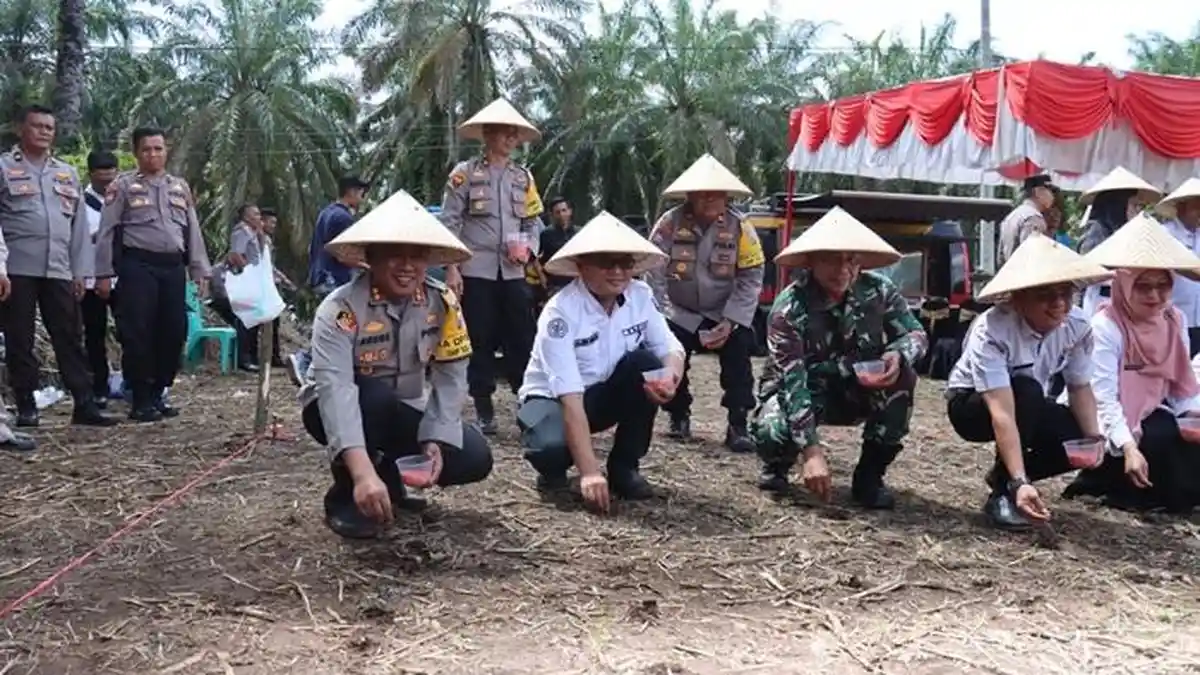 Polres Pasaman Barat Tanam Jagung untuk Dukung Program Asta Cita Presiden Prabowo