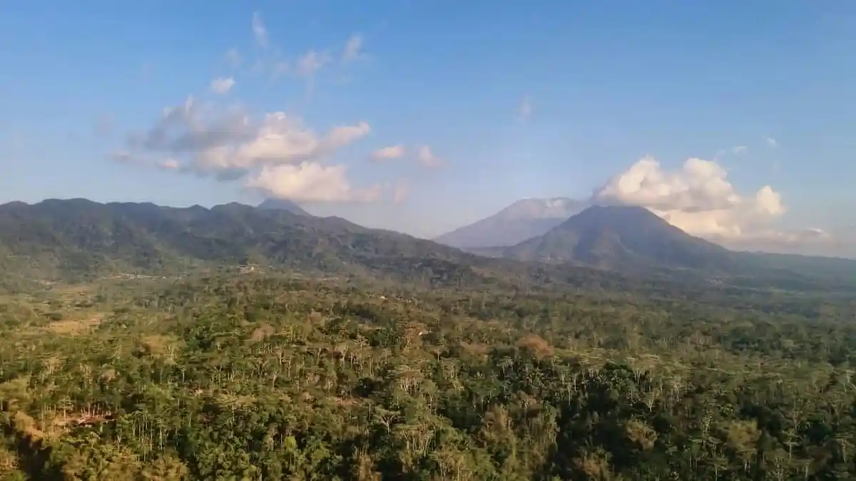 Pusat Studi Urban Unika Sebut Perencanaan Tata Kota Indonesia Tak Siap Hadapi Bencana