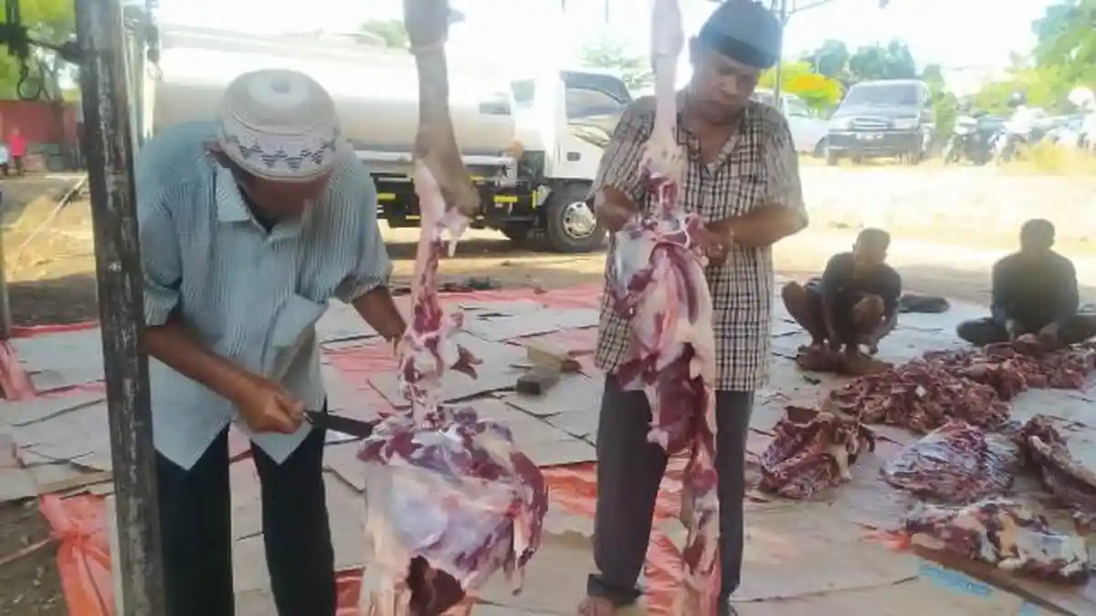 DPD IKM Kota Kupang Siapkan 9 Ekor Hewan Kurban di Hari Raya Idul Adha