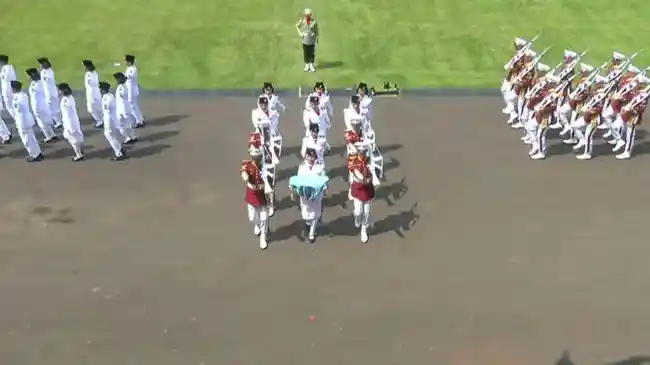 Tribun