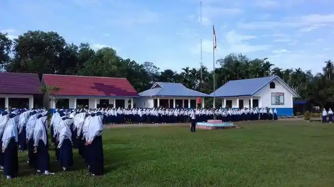Tribun