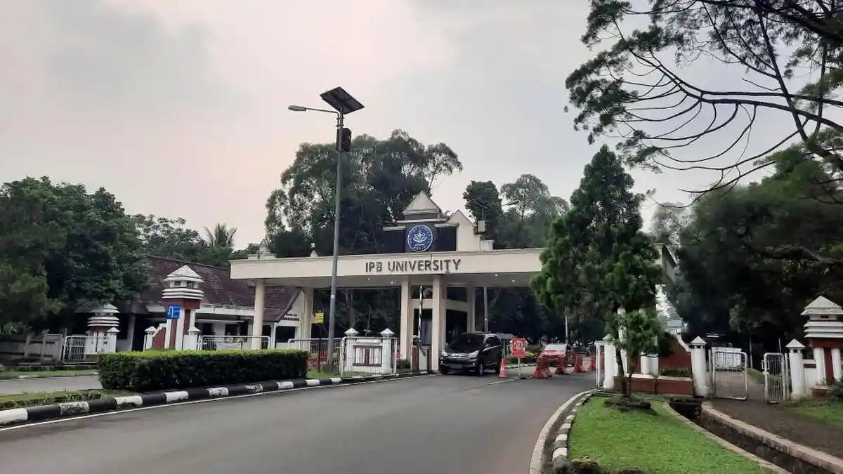 IPB University Terima 768 Calon Mahasiswa Jalur SM-IPB, Ini Jadwal Daftar Ulang dan Pembayaran UKT