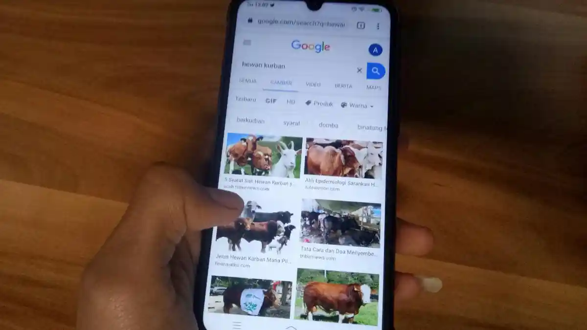 Awas Hewan Korban yang Dibeli Via Online Tak Memenuhi Kriteria, Ini Tips dari Ulama