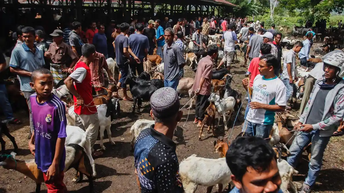 3 Pasar Hewan di Kabupaten Batang Kembali Beroperasi Setelah Ditutup 2 Pekan