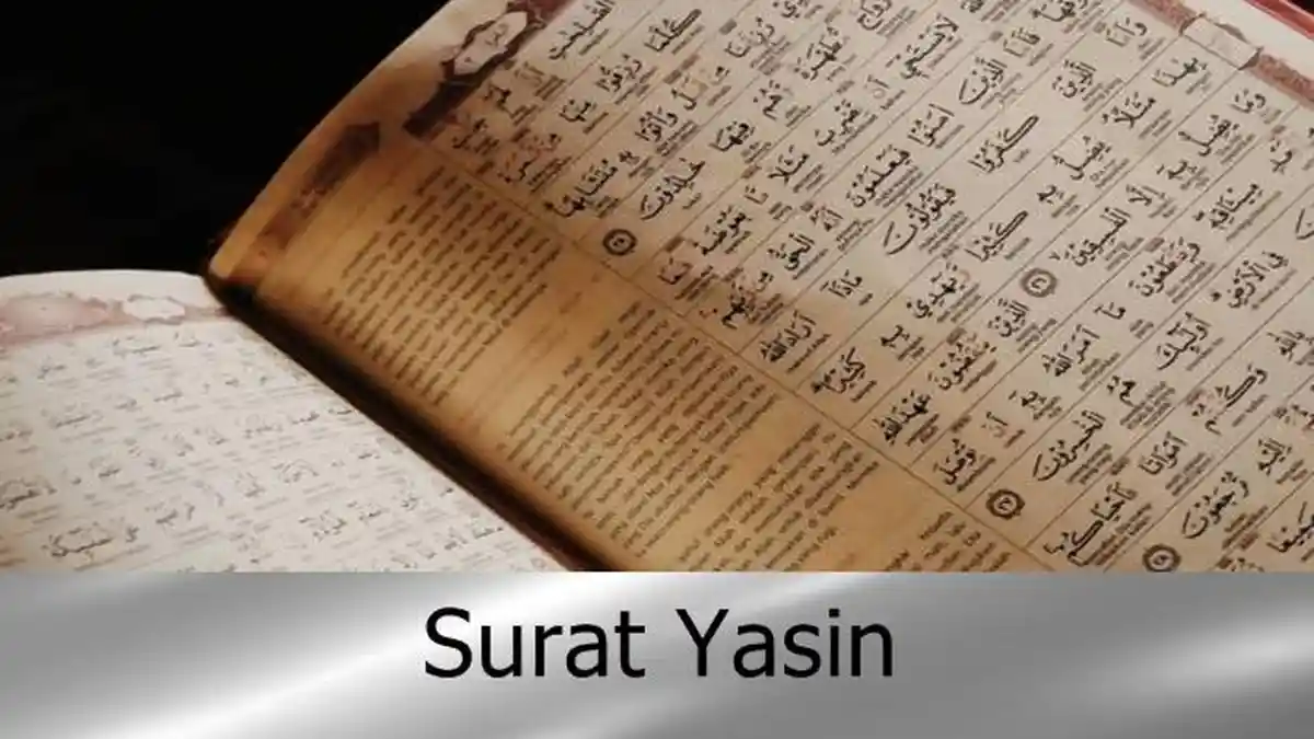 Bacaan Surat Yasin Ayat 1-83 Latin, Arab dan Terjemahan, Al Quran Online