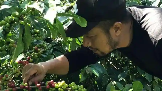 Hari Tani Nasional 2023, Penjualan Produk Tanaman Naik 1,5 Kali Lipat di Marketplace