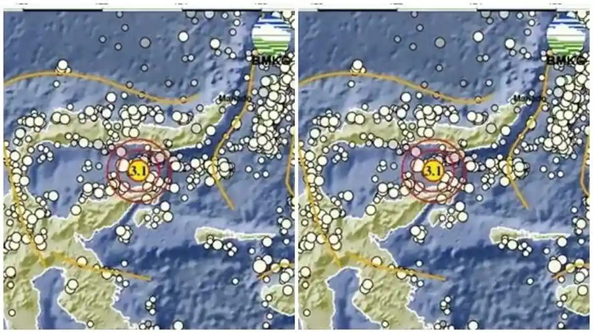 Pusat Gempa Terkini! Gempa Magnitudo 3,1 Guncang Bone Bolango Gorontalo, Simak Info BKMG