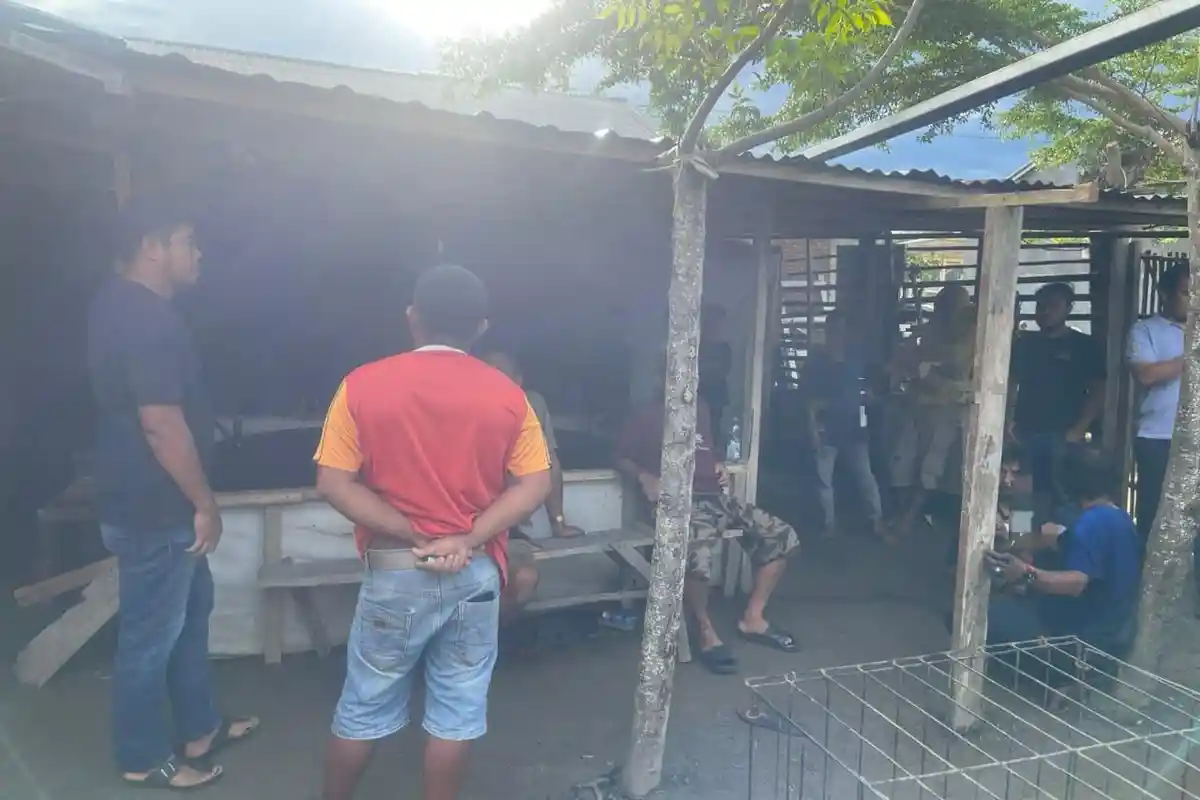 Polisi Gerebek Sabung Ayam di Manding Polman Amankan 12 Pelaku Uang Rp 16 Juta Disita