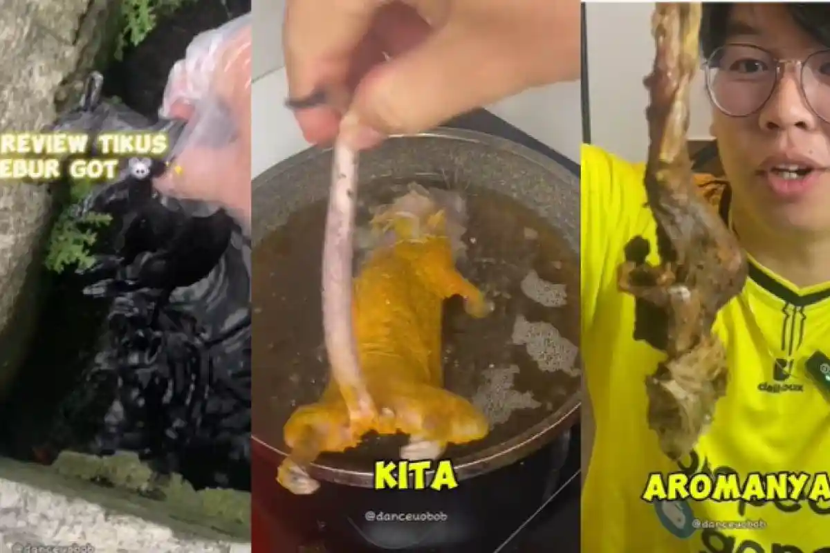 Sosok TikToker Bandung Makan Tikus Got Goreng Pakai Nasi, Dulu Pernah Makan Bakwan Cicak dan Kecoa