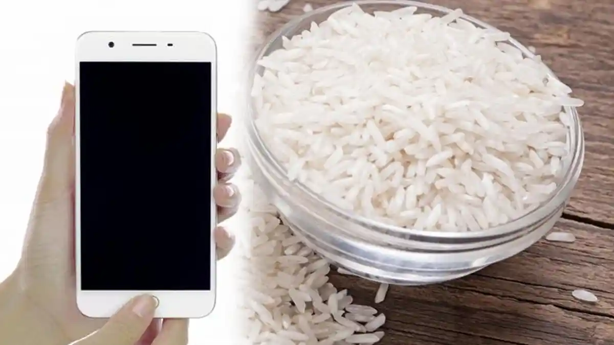Handphone Kamu Terkena Air? Jangan Panik, Ini 5 Cara Mengatasi Hp Basah Ditaruh di Beras