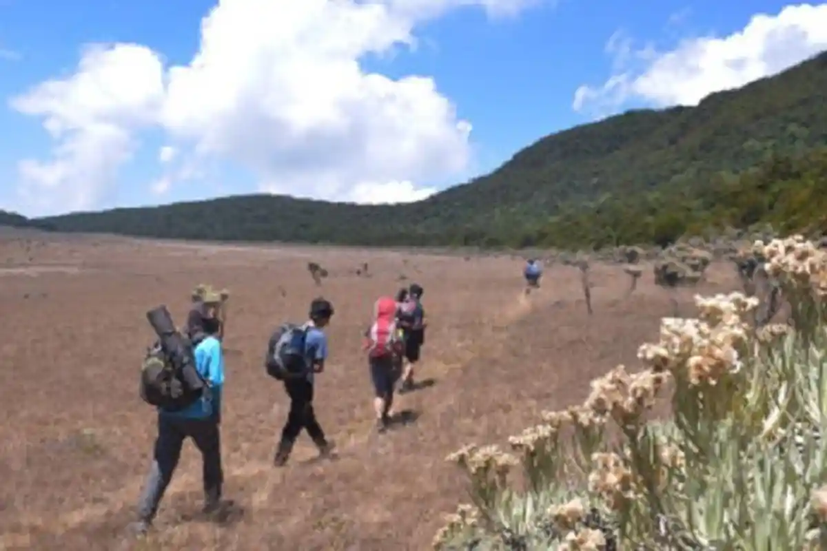 Pendakian Gunung Gede Pangrango Dibuka Kembali, Masih Ada 2 Titik Longsor Pasca Gempa Cianjur