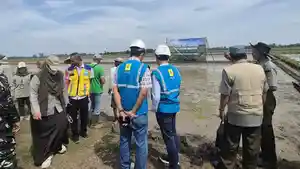 PLN-HADIR-Peninjauan-area5.jpg