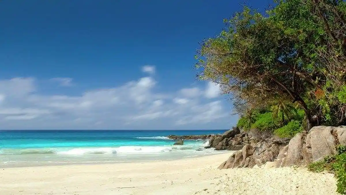 Terekam Google Maps Street View, Pasangan Ini Lakukan Hal Memalukan di Pantai