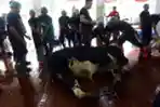Masjid Istiqlal Potong Hewan Kurban Iduladha 1444 H