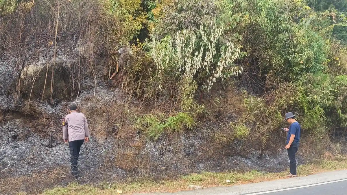 Agustus 2024 Kemarau di Babel, Kebakaran Lahan Pinggir Jalan Marak