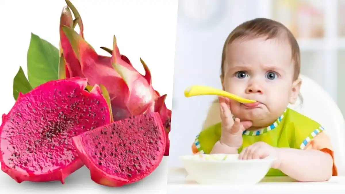 Cocok untuk Dikonsumsi Bayi, Berikut Tips Menyajikan MPASI Buah Naga Sesuai Usia Bayi