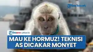 Video-Teknisi-Militer-AS-dicakar-Monyet.jpg
