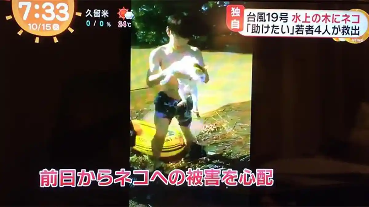 Viral di Jepang, 4 Pemuda Selamatkan Seekor Kucing yang Terjebak Banjir Pasca Topan Hagibis