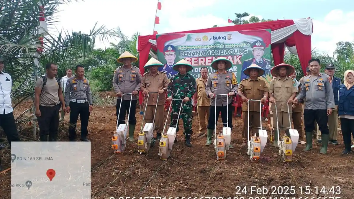 1 Desa 1 Hektare Lahan Jagung di Seluma Bengkulu, Dukung Program Astacita Presiden
