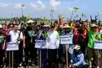 90 Persen Pesisir Pantai Terkikis Abrasi, Pemkab Kendal Gencarkan Penanaman Mangrove 