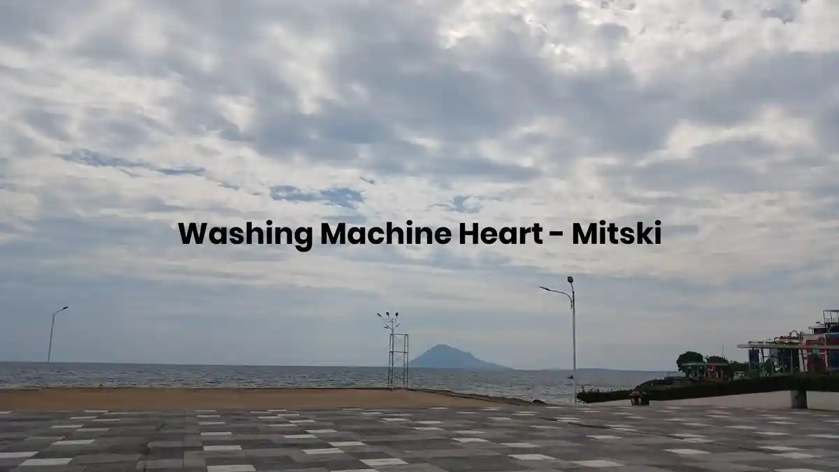 Lirik Lagu Washing Machine Heart - Mitski