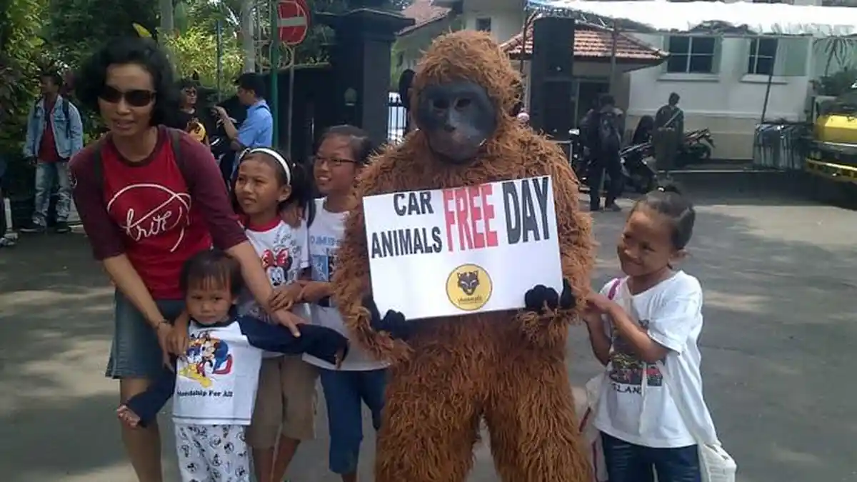 Muncul Kecaman,  Satwa Liar Diekspoitasi di Car Free Day Malang