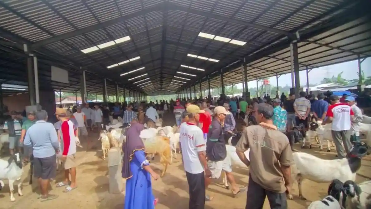 Tanggap Darurat PMK, Seluruh Pasar Hewan di Jepara Ditutup hingga Waktu yang Belum Ditentukan