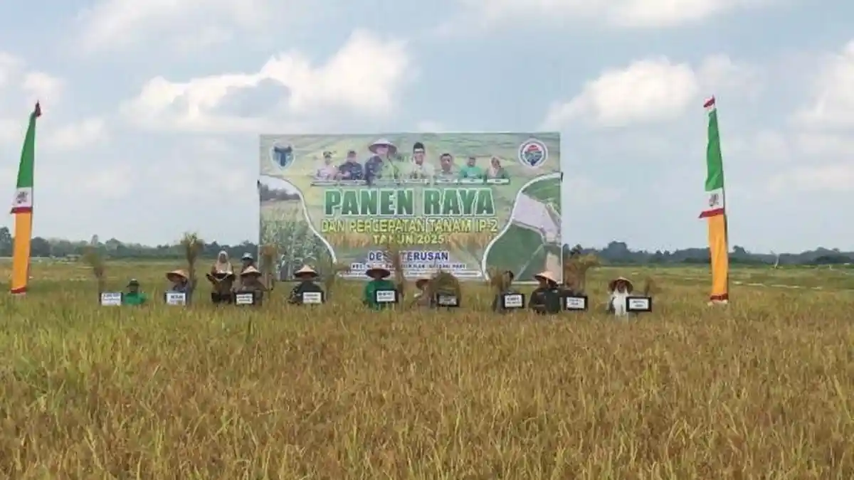 Bupati Batang Hari Minta Petani Desa Terusan Tanam Padi 2 Kali Setahun