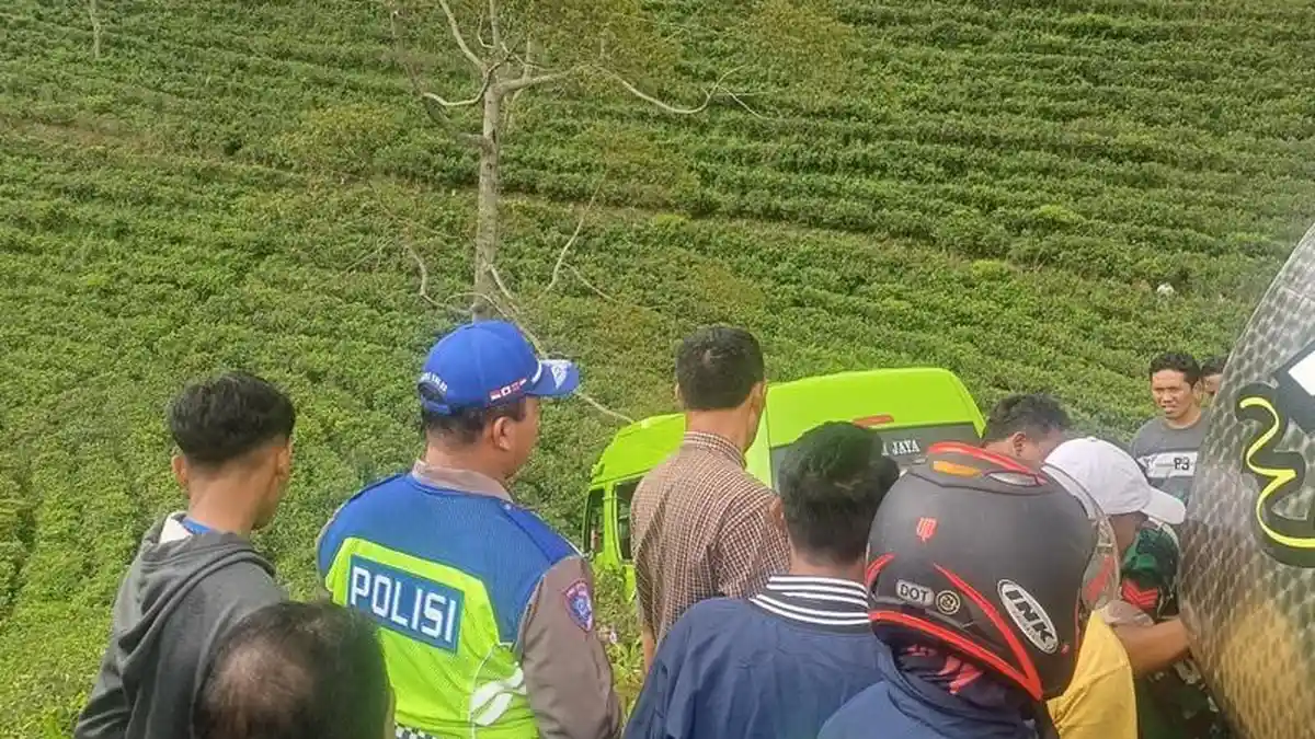 Elf Rombongan Wisatawan Dari Gresik Terperosok ke Kebun Teh Karanganyar