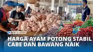 Harga-2888881771.jpg