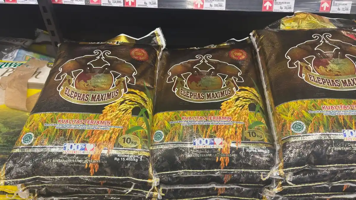 Beras Oplosan Tak Ditemukan di Pasar Tradisional Medan, Pedagang Desak Pemerintah Awasi Distributor