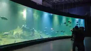 AQUARIUM-INDONESIA-pangandaran-15032026-1-Dunia-Laut.jpg