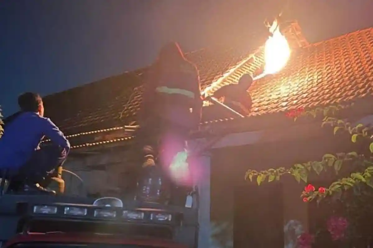 Damkar Tulungagung Hadapi Ledakan Koloni Tawon Vespa, Sudah Ada 464 Aduan Warga 