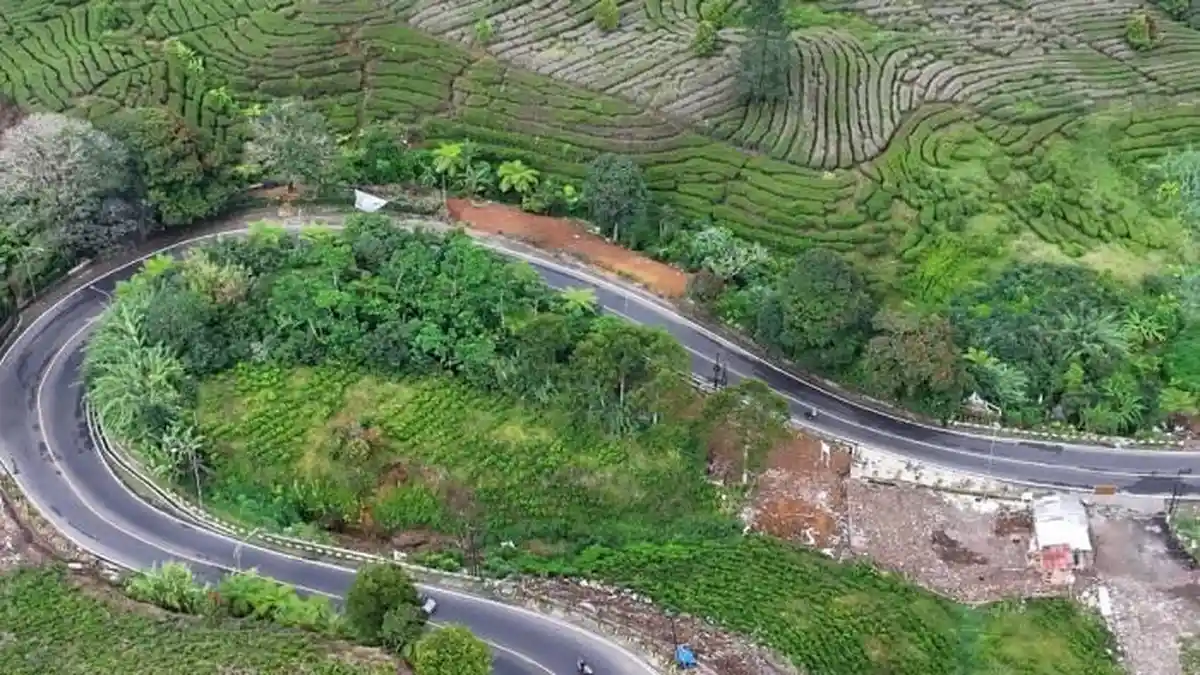 Pemkab Bogor Akan Bangun Jalan Alternatif Baru di Kawasan Puncak Bogor, Panjangnya 7,5 KM