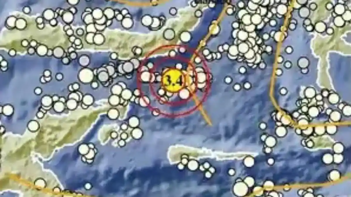 Update Gempa Hari Ini, BMKG: Gempa Magnitudo 3.4 Guncang Bolaang Uki ...
