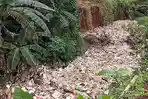 Aliran Kali Krukut di Cinere Depok Tertutup Sampah, Warga: 3 Bulanan Lebih Ada Kali 