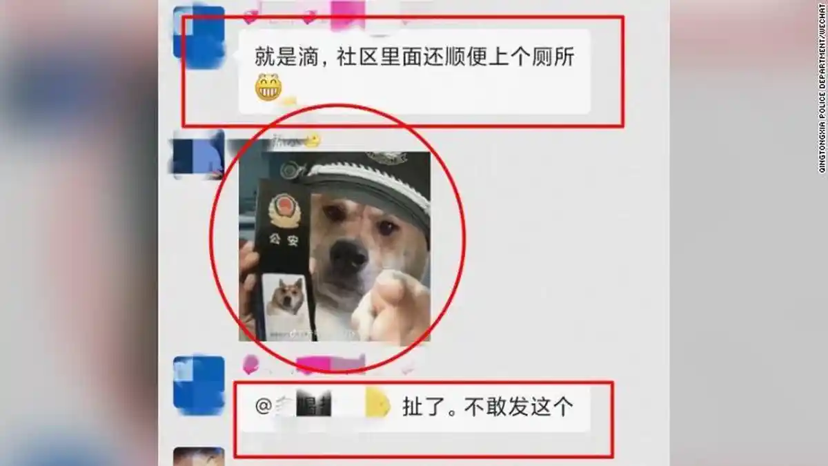 Pria di China Dipenjara Gara-gara Kirim Meme Anjing Bertopi Polisi, Dianggap Menghina