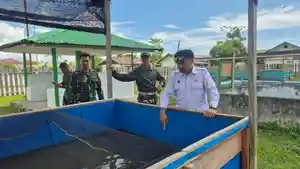 program-swasembada-bgn-nabire.jpg